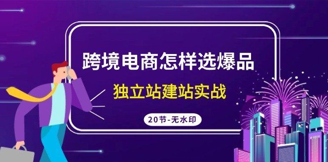 
          跨境电商怎样选爆品，独立站建站实战（20节高清课） - Featured image
        