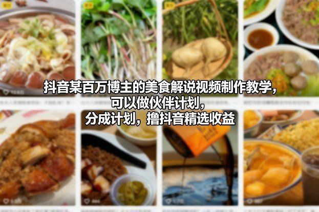 
          抖音某百万博主的美食解说视频制作教学，可以做伙伴计划，分成计划，撸抖音精选收益 - Featured image
        