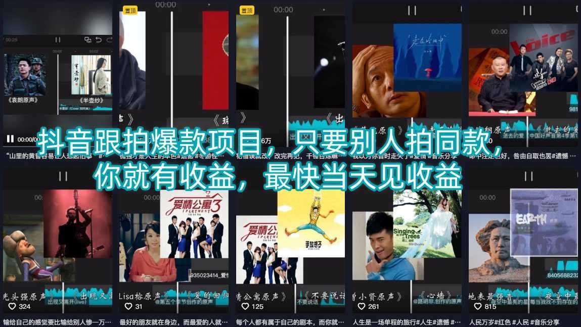 
          抖音跟拍爆款项目，只要别人拍同款，你就有收益，最快当天见收益 - Featured image
        