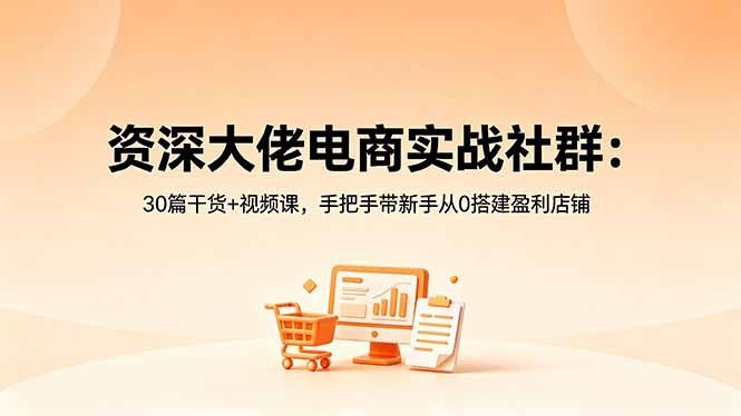 
          资深大佬电商实战社群：30篇干货+视频课，手把手带新手从0搭建盈利店铺 - Featured image
        
