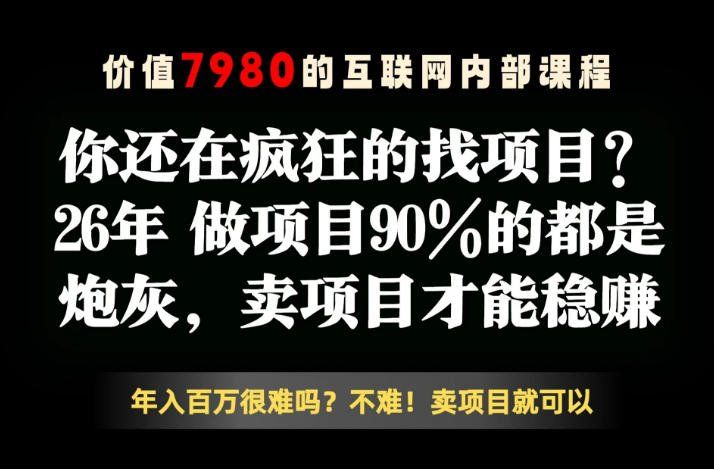 
          26年请不要疯狂的找项目了，卖项目远比你想象的暴利，你也可以月入10W+【揭秘】 - Featured image
        
